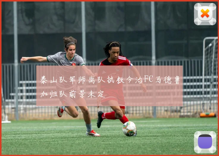 泰山队军师离队执教今治FC马德鲁加归队前景未定