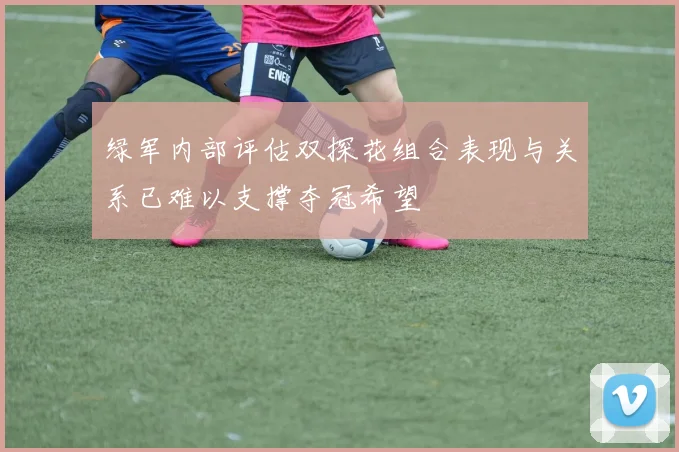 绿军内部评估双探花组合表现与关系已难以支撑夺冠希望